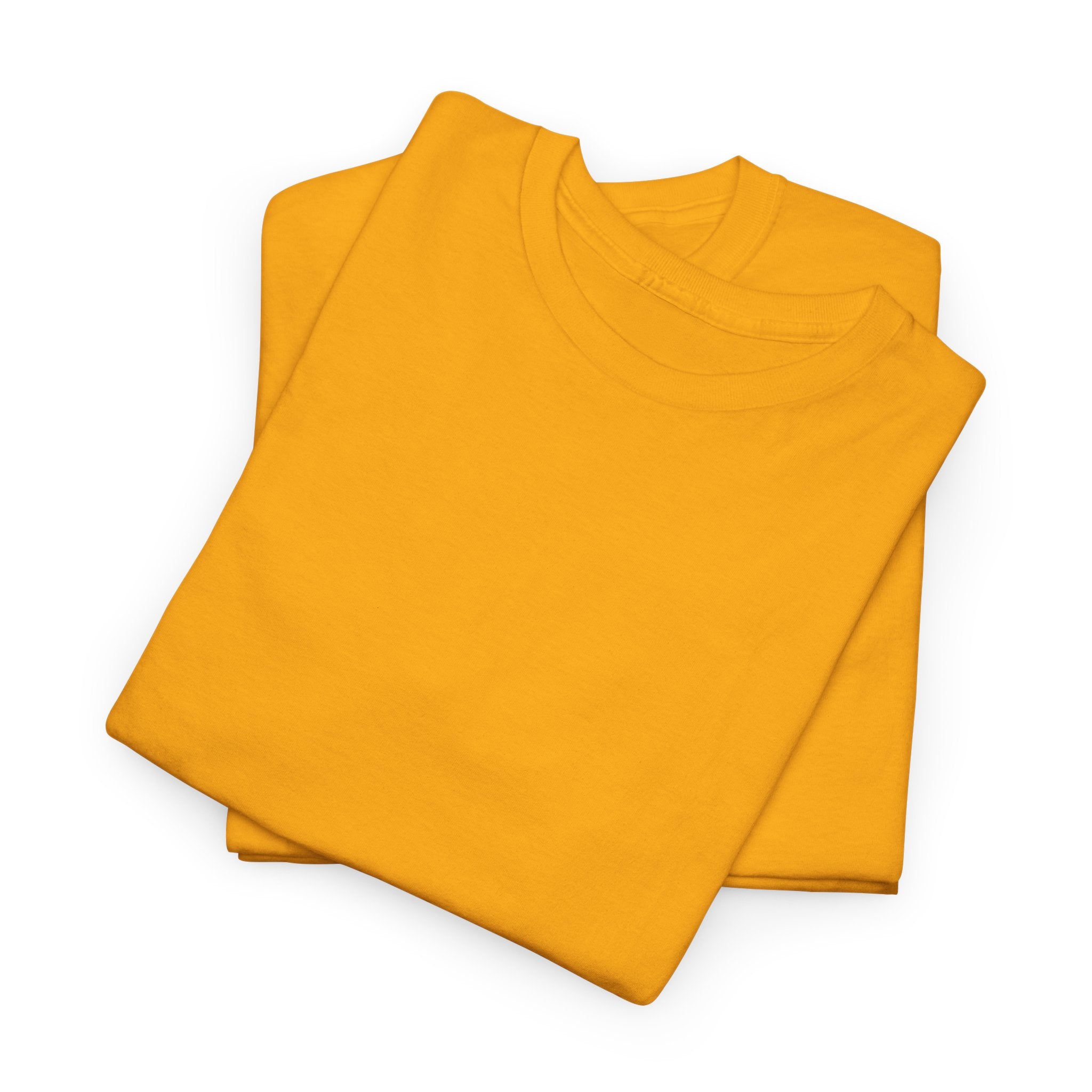 Motion Without A Plan T-Shirt