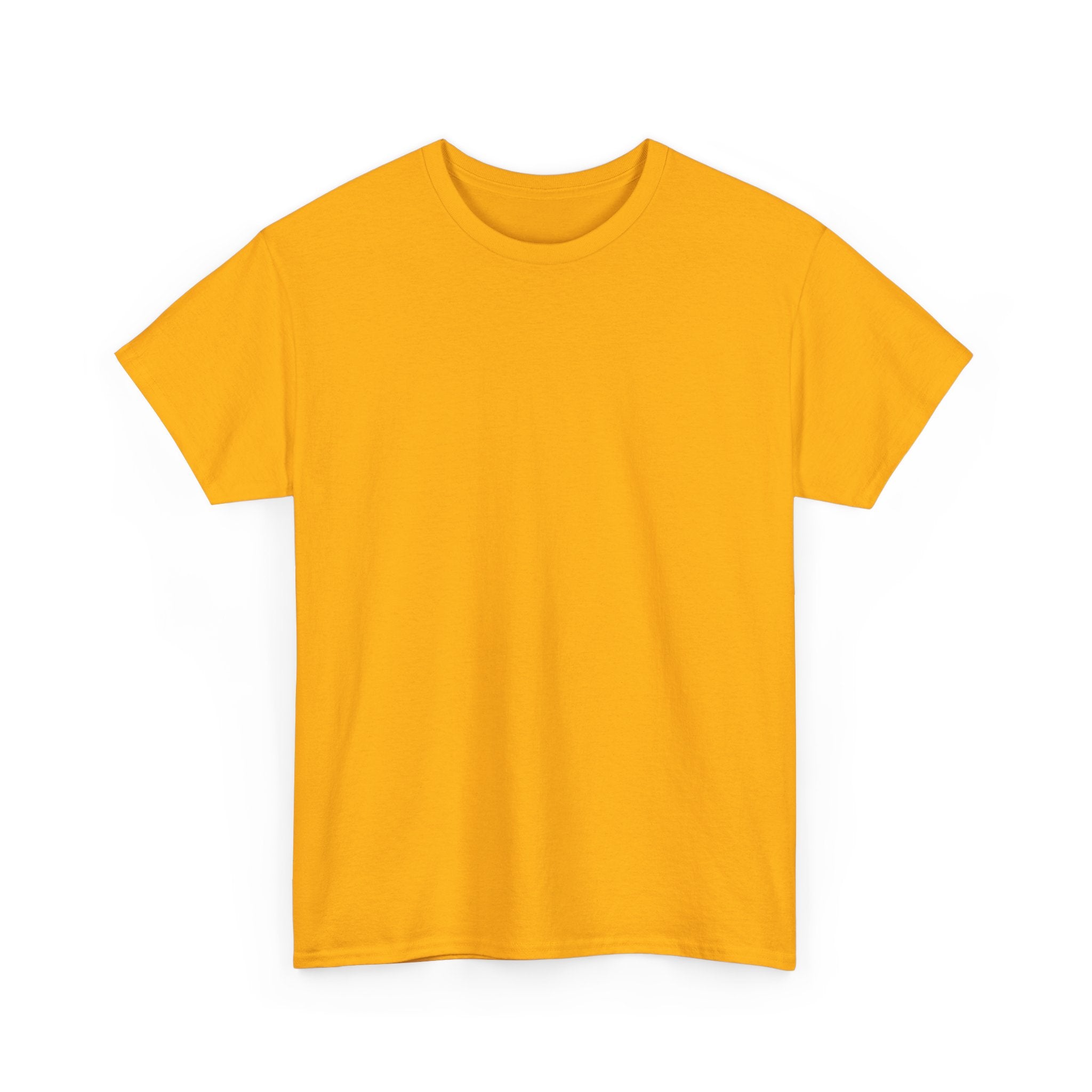 Motion Without A Plan T-Shirt